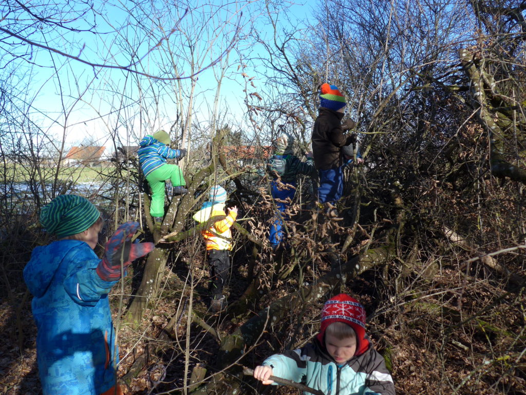 Kinder entdecken die Natur EKP