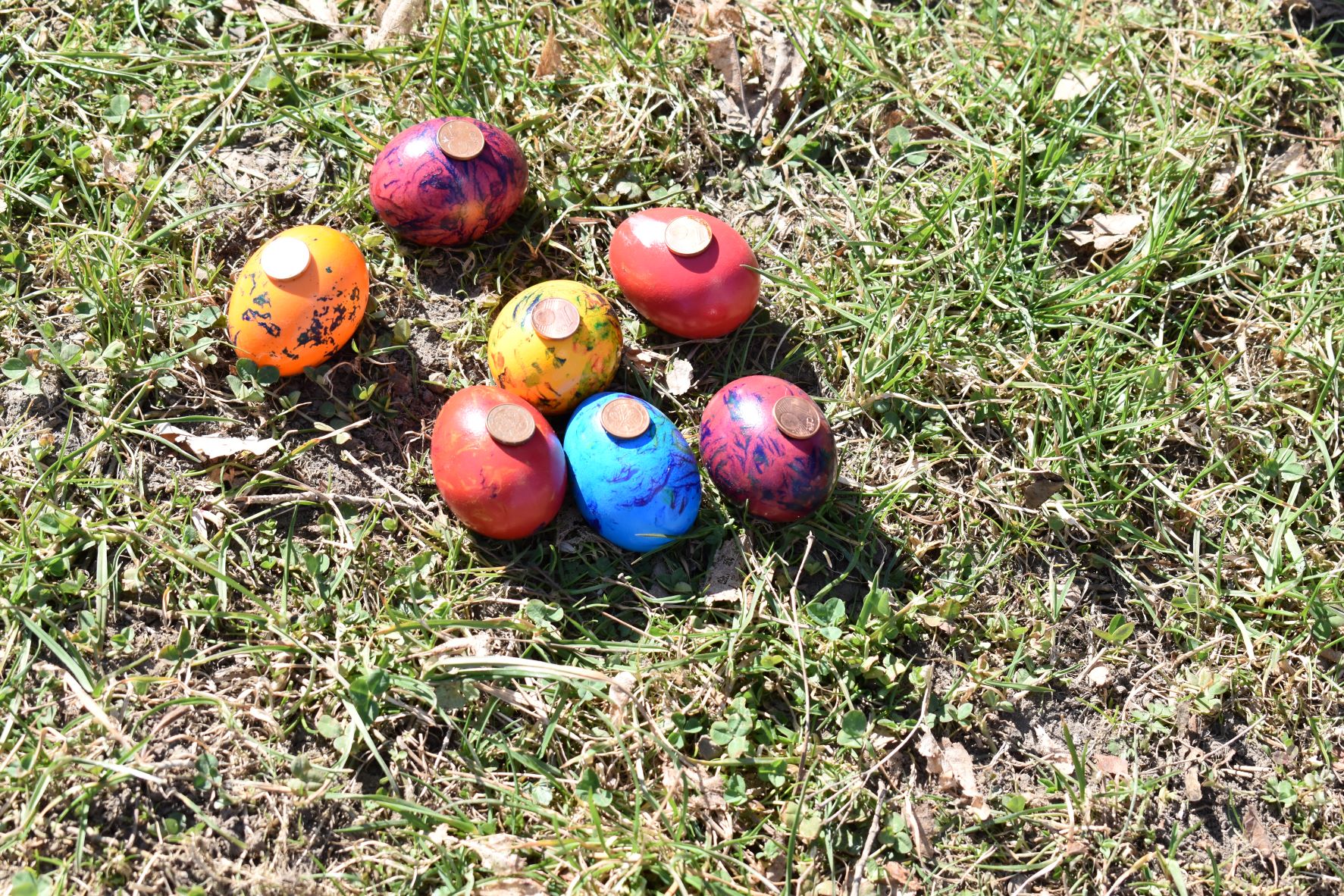 Eier