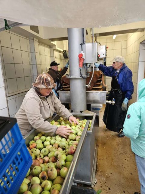 Mosterei Apfelernte