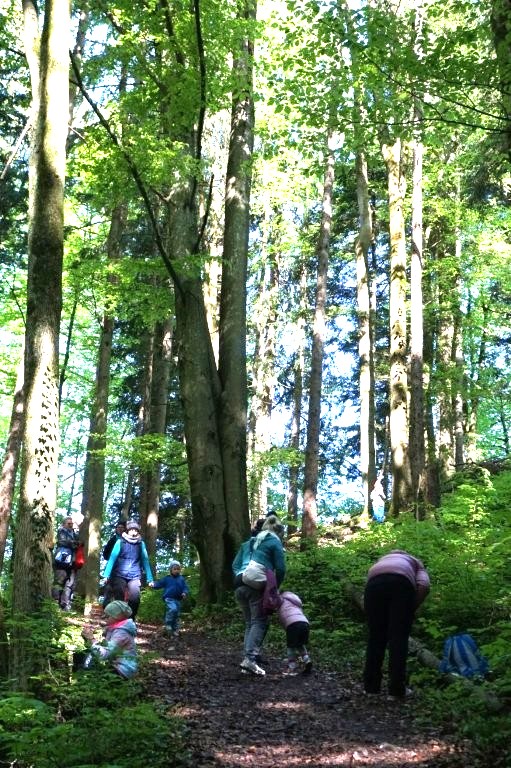 Wald